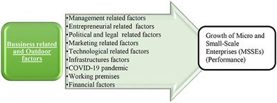 The factors that influence the growth and performance of micro and small-scale enterprises in Dessie Town administration